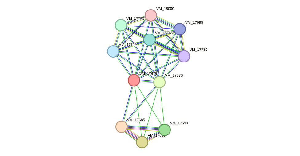 STRING protein interaction network