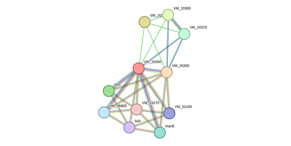 STRING protein interaction network