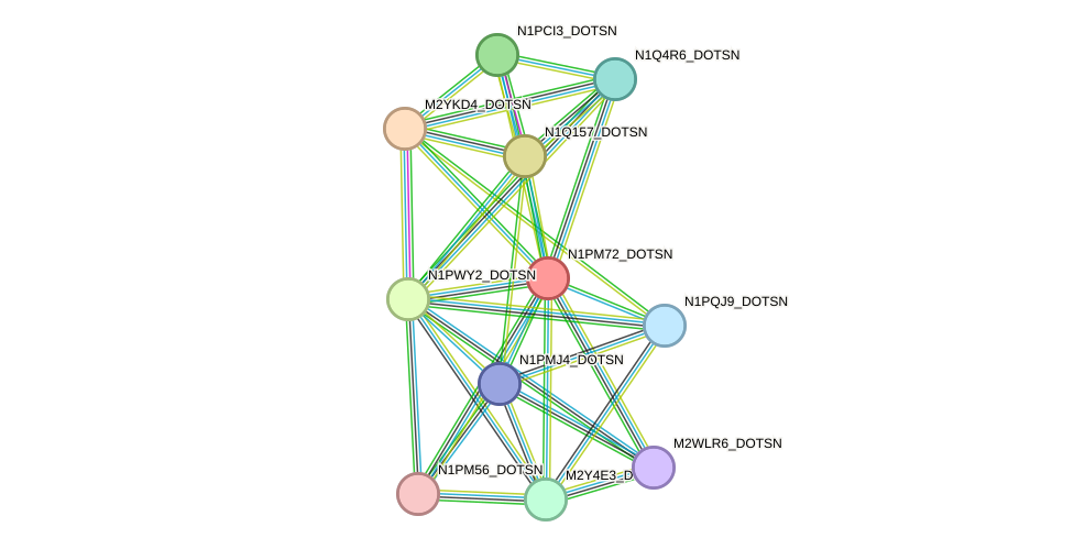 STRING protein interaction network