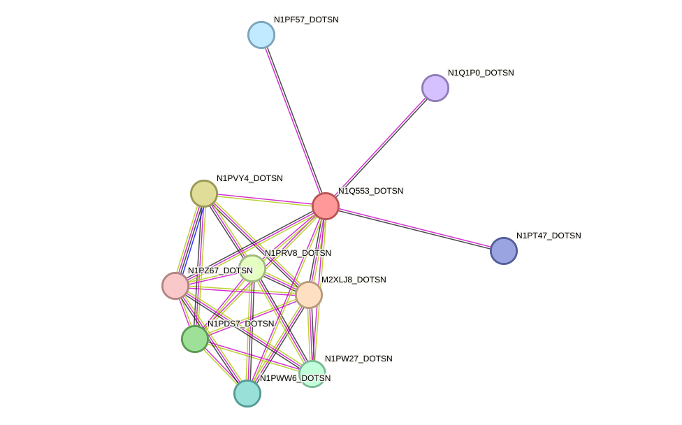 STRING protein interaction network