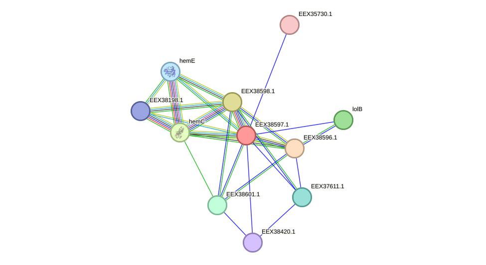 STRING protein interaction network