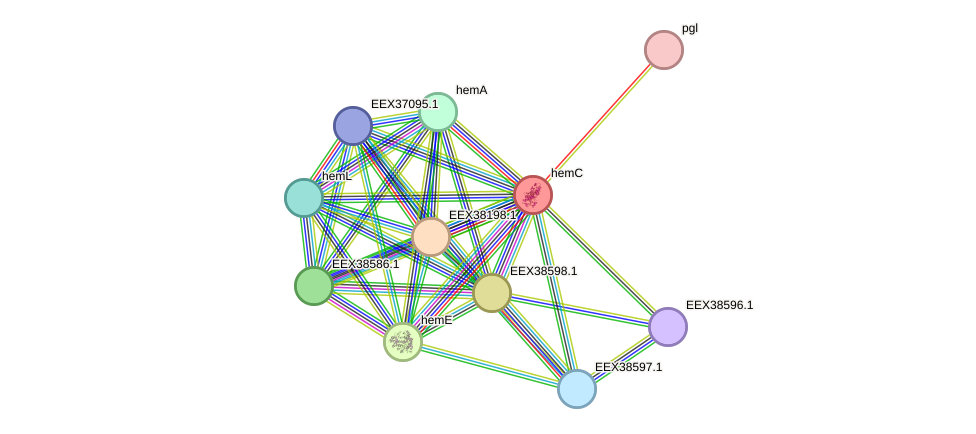 STRING protein interaction network