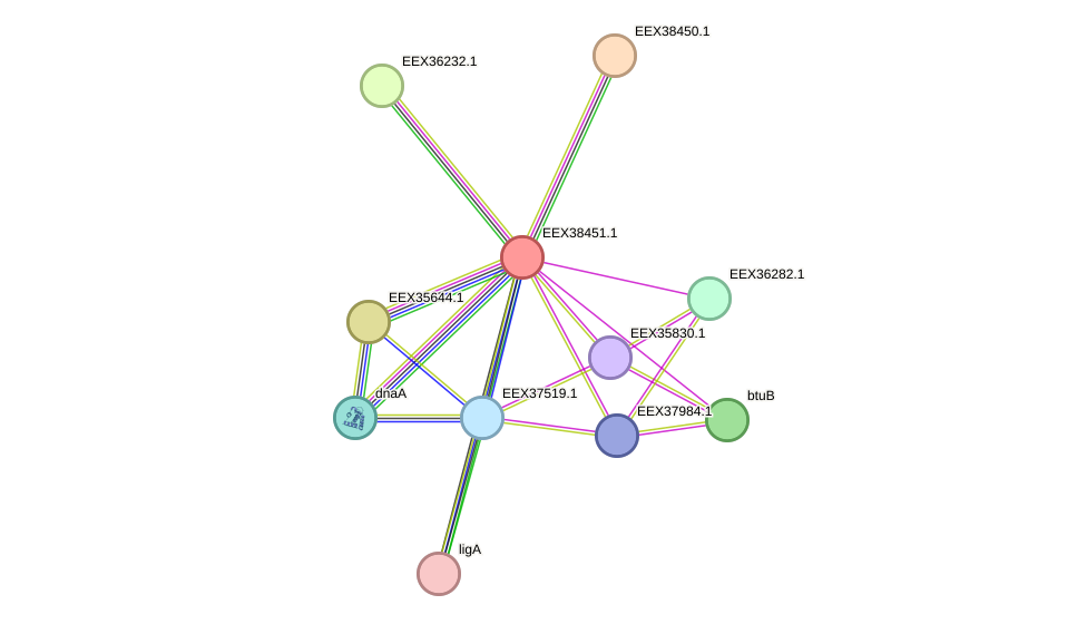 STRING protein interaction network