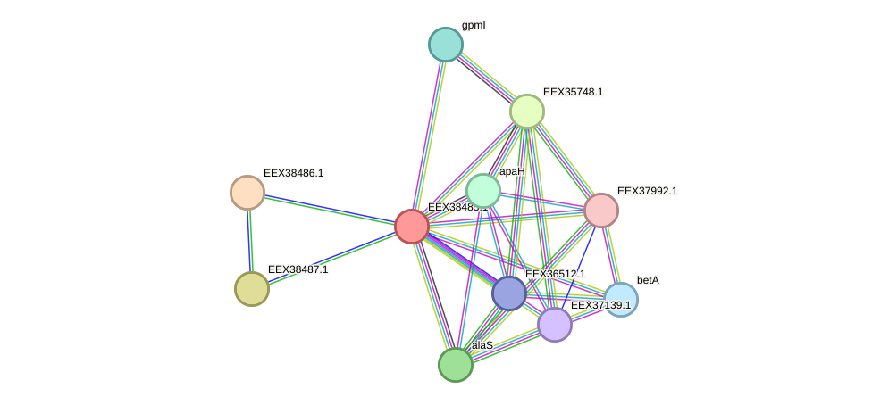 STRING protein interaction network