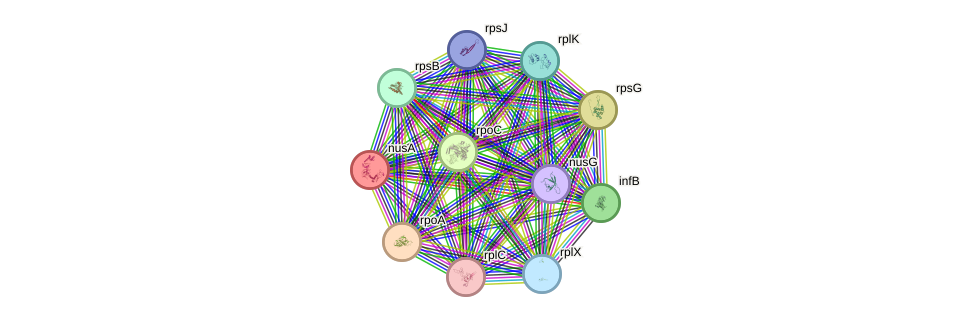 STRING protein interaction network