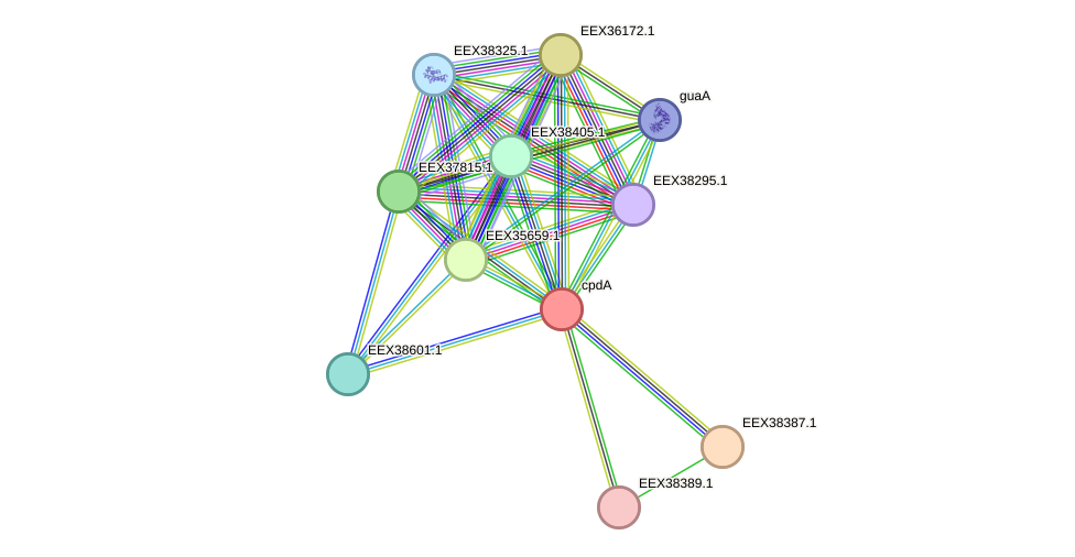 STRING protein interaction network