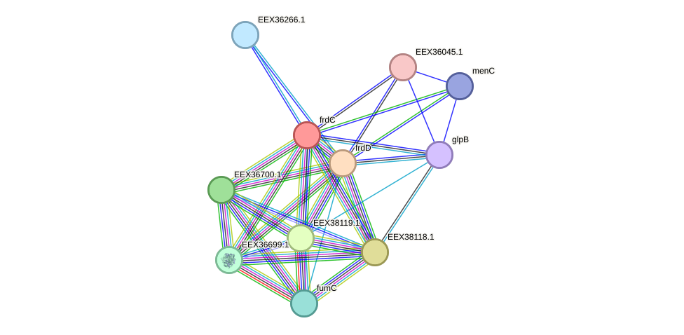 STRING protein interaction network