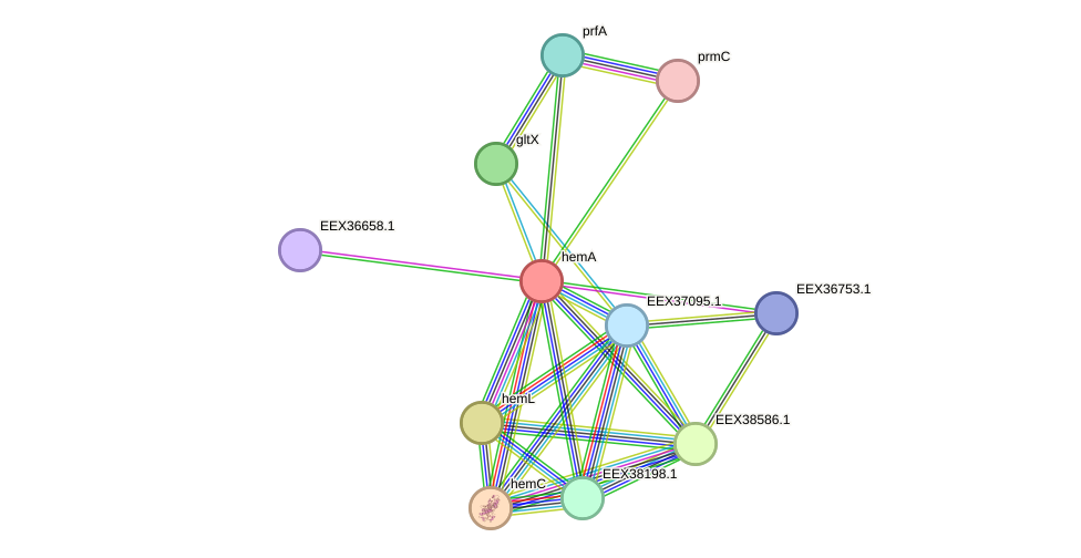 STRING protein interaction network