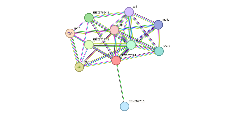 STRING protein interaction network