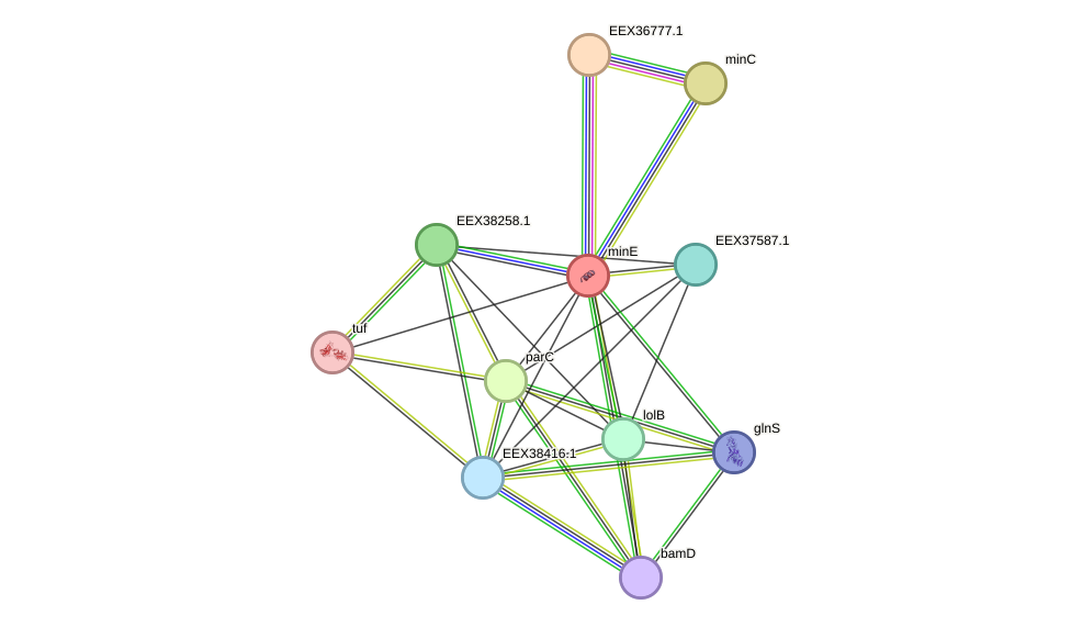 STRING protein interaction network