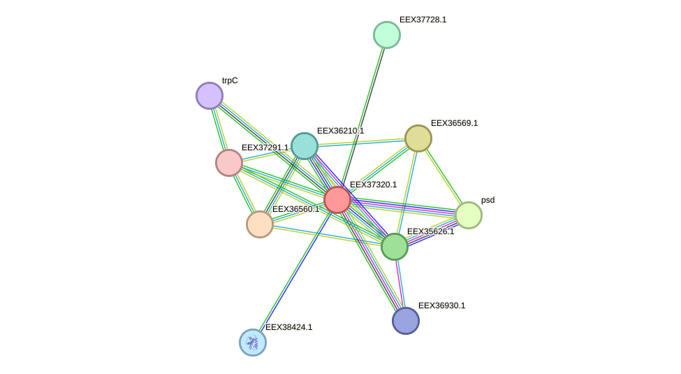 STRING protein interaction network
