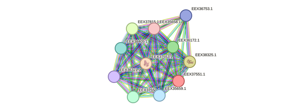 STRING protein interaction network