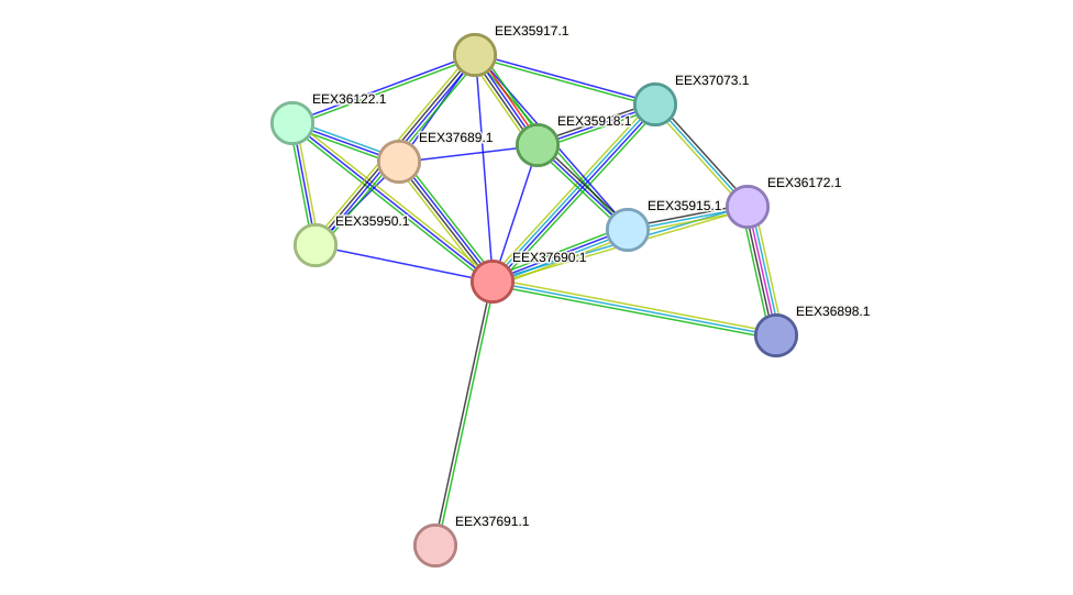 STRING protein interaction network