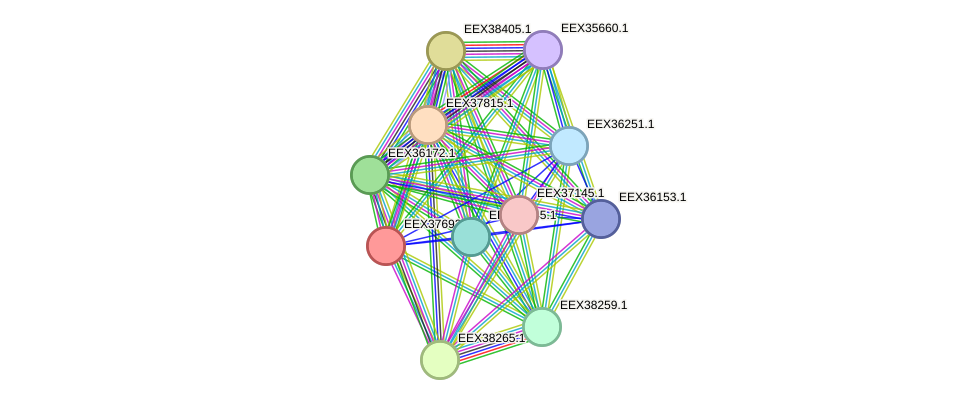 STRING protein interaction network
