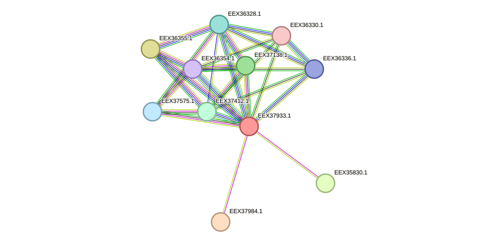STRING protein interaction network