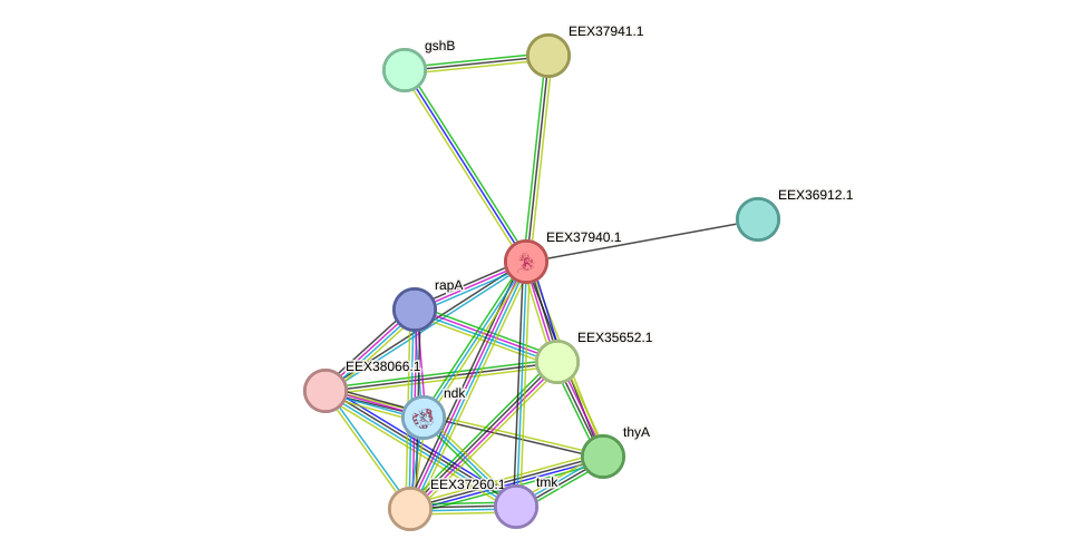 STRING protein interaction network