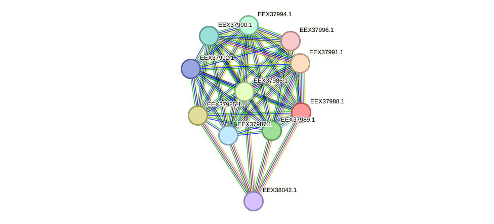 STRING protein interaction network