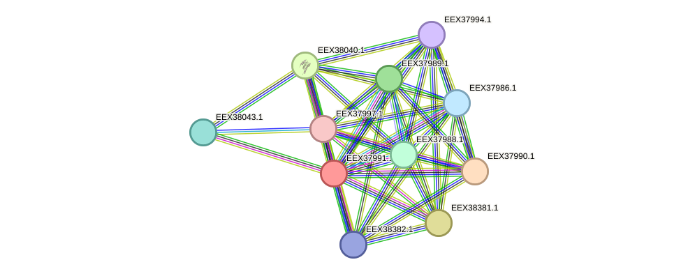 STRING protein interaction network