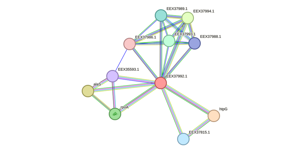 STRING protein interaction network