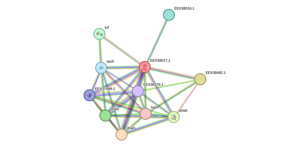 STRING protein interaction network