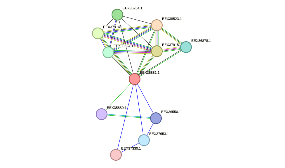 STRING protein interaction network