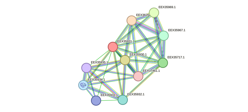 STRING protein interaction network