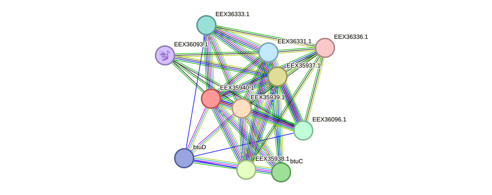 STRING protein interaction network