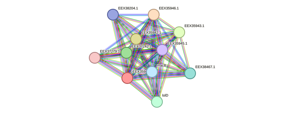 STRING protein interaction network