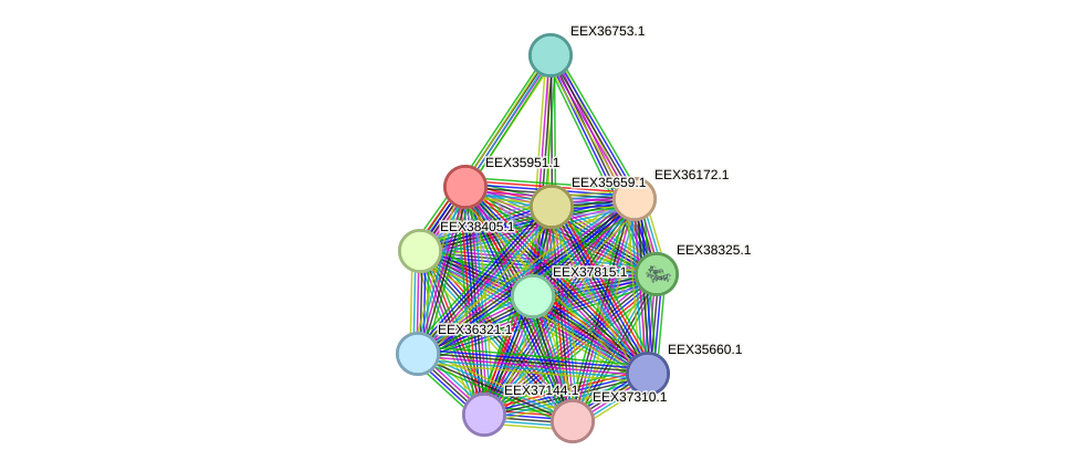 STRING protein interaction network