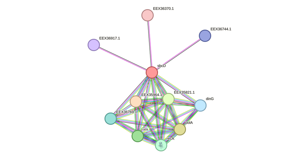 STRING protein interaction network