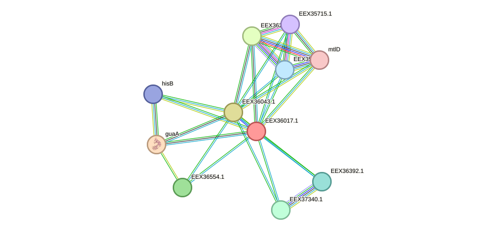 STRING protein interaction network