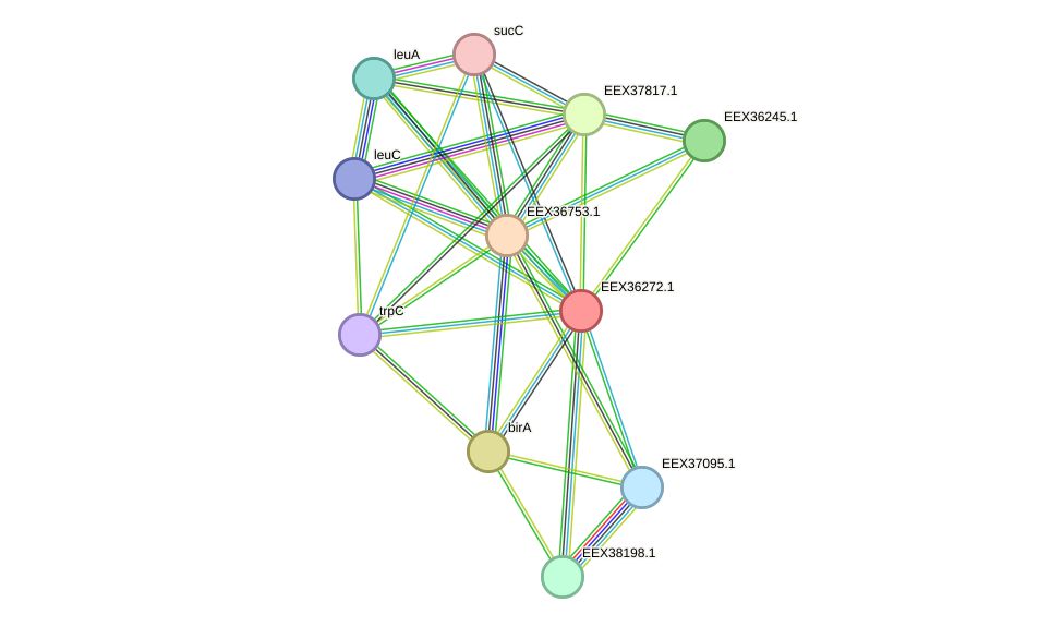 STRING protein interaction network