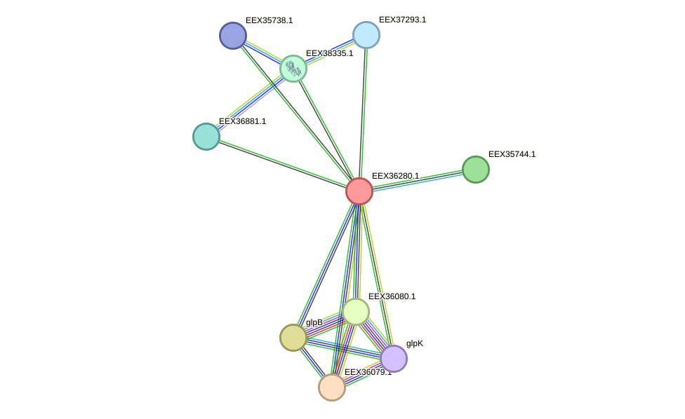 STRING protein interaction network