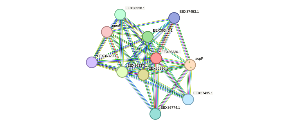 STRING protein interaction network
