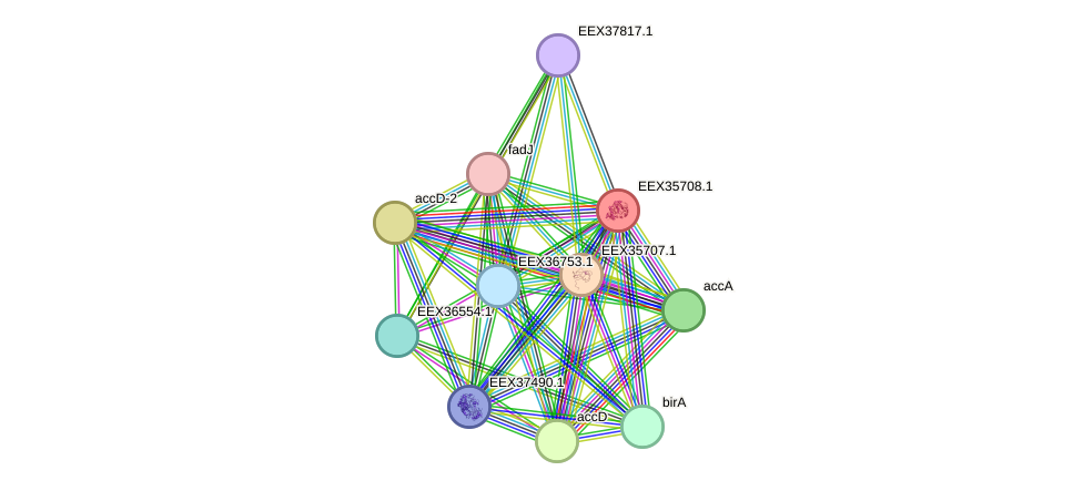 STRING protein interaction network