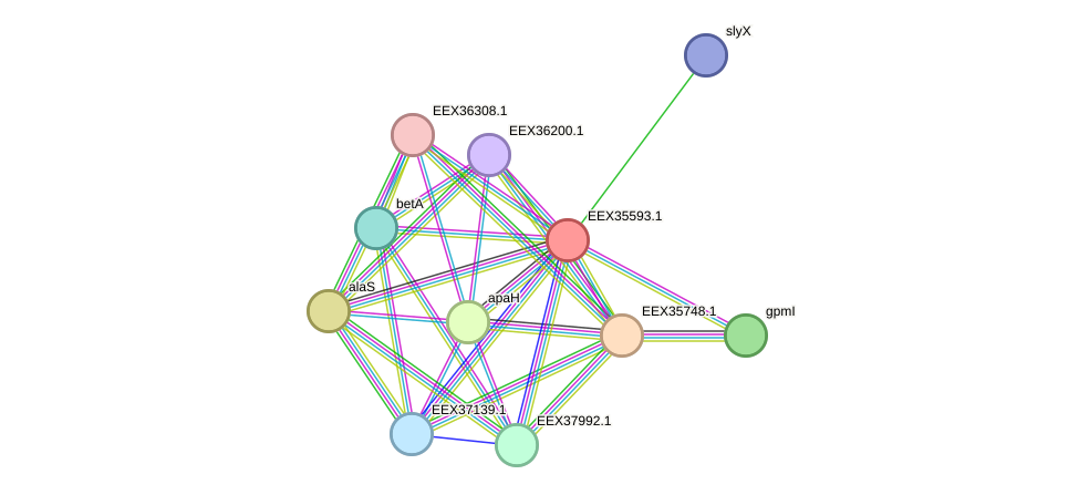STRING protein interaction network