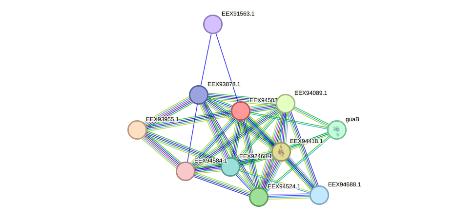 STRING protein interaction network