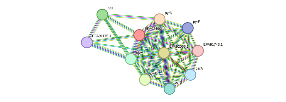STRING protein interaction network