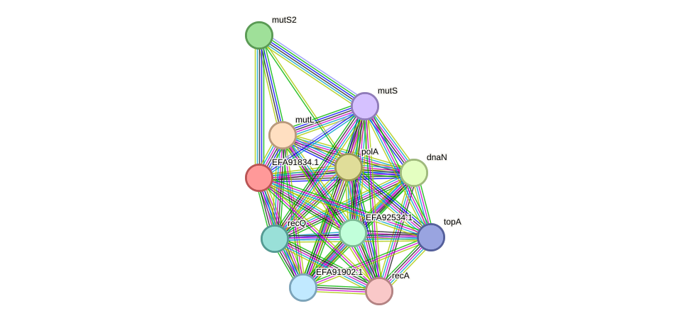 STRING protein interaction network