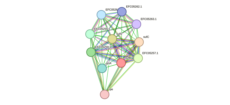 STRING protein interaction network