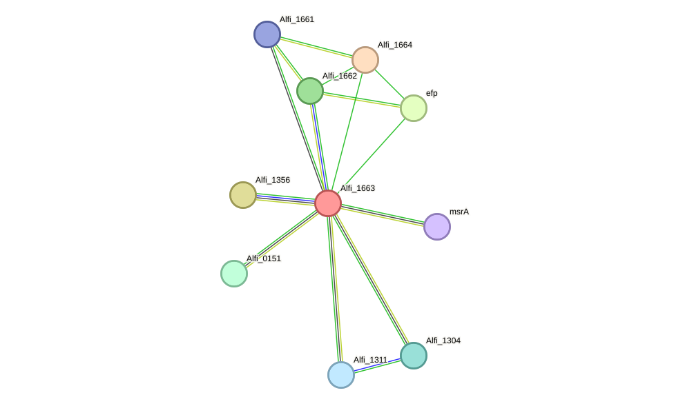 STRING protein interaction network