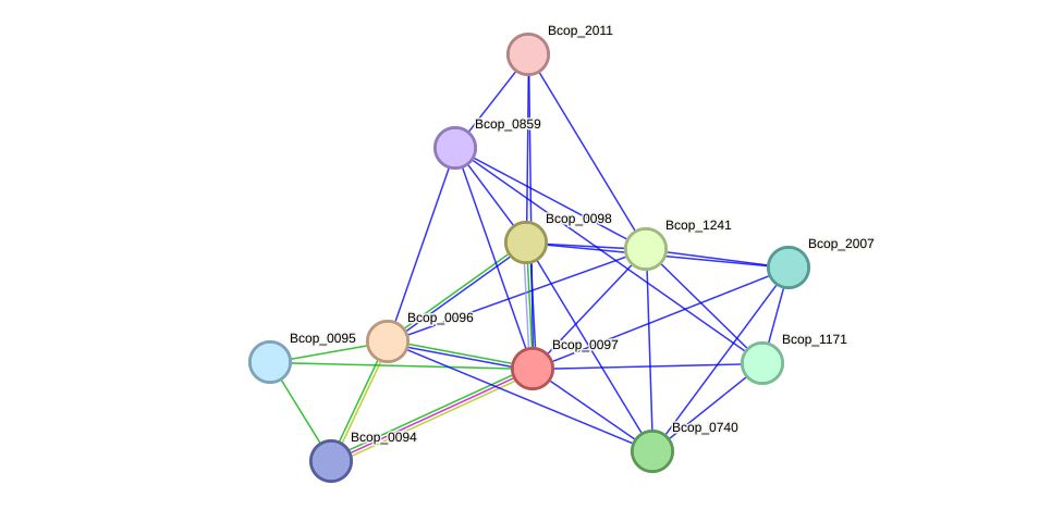 STRING protein interaction network