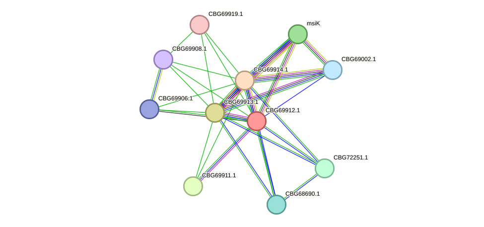 STRING protein interaction network