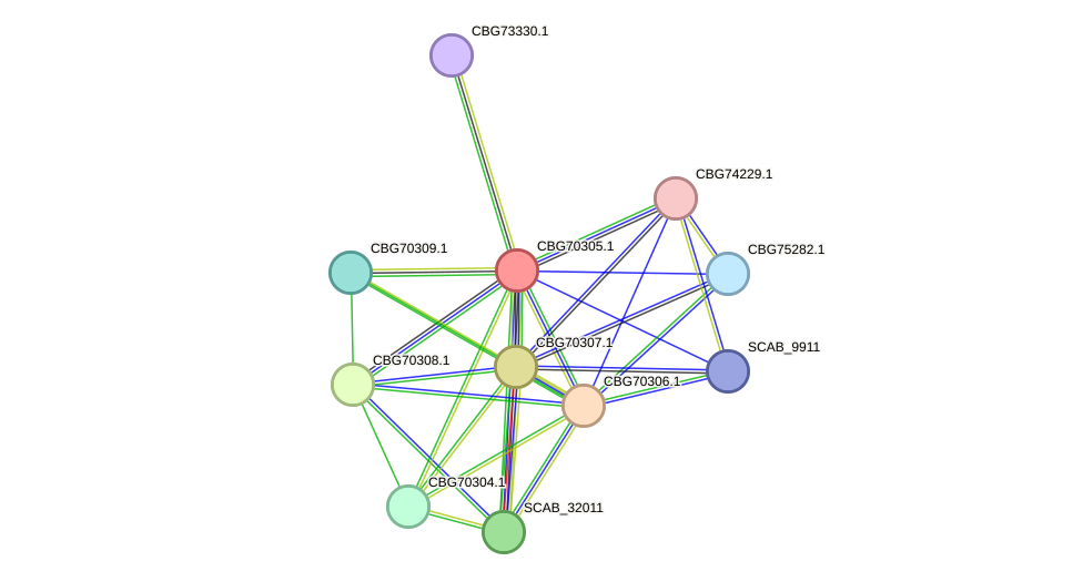 STRING protein interaction network