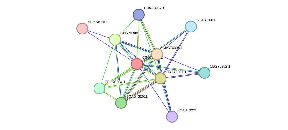 STRING protein interaction network