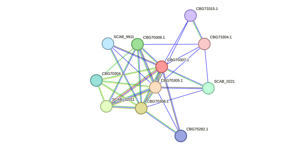 STRING protein interaction network