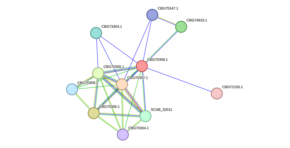 STRING protein interaction network