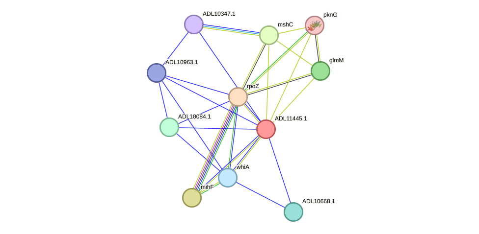 STRING protein interaction network