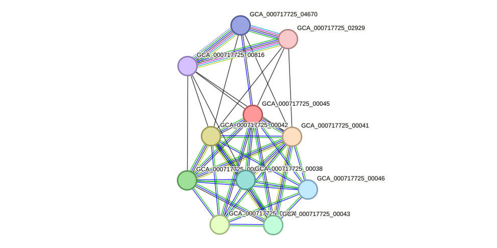 STRING protein interaction network