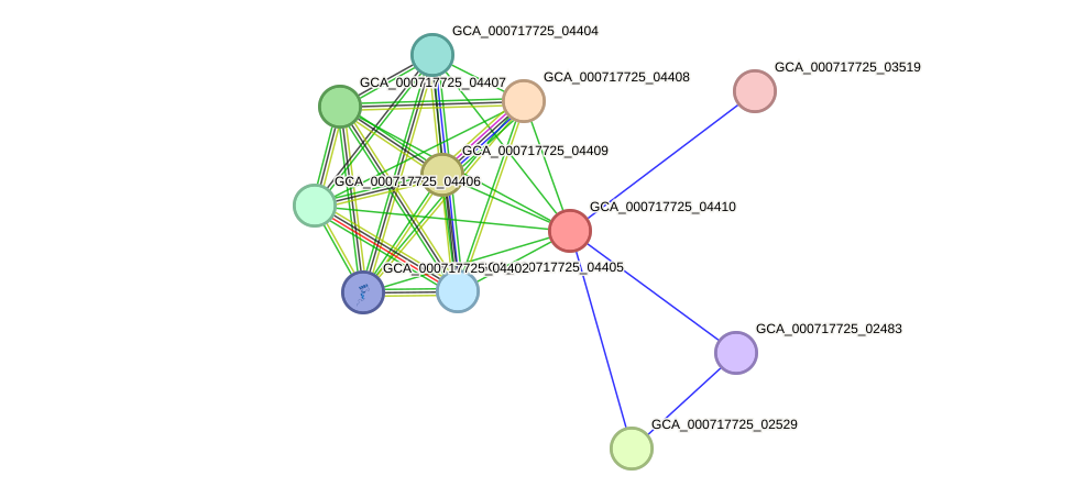 STRING protein interaction network